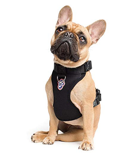 Harnais Everything Harness, Noir