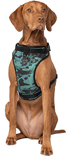 Harnais Everything Harness, Camo