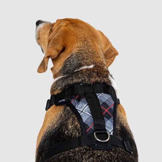 Harnais Everything Harness, Plaid Bleu
