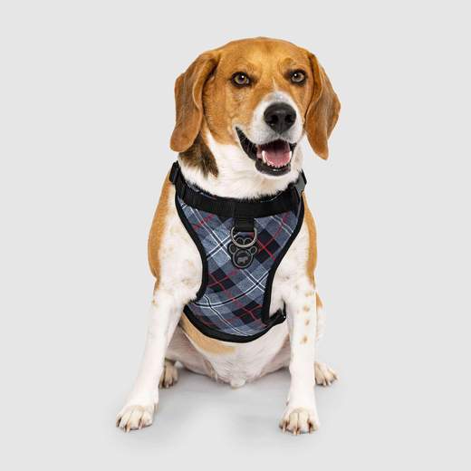 Harnais Everything Harness, Plaid Bleu