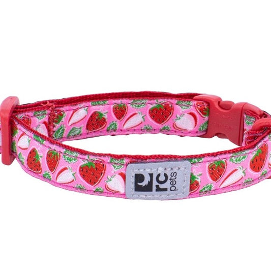 Collier pour chat, Fraises