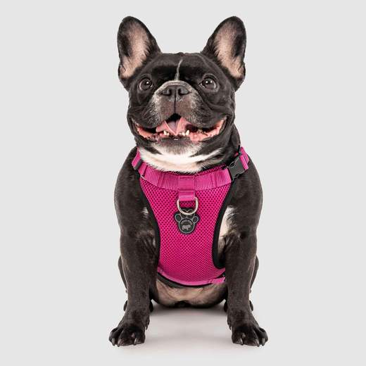 Harnais Everything Harness, Rose