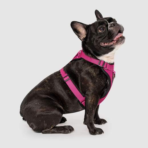 Harnais Everything Harness, Rose