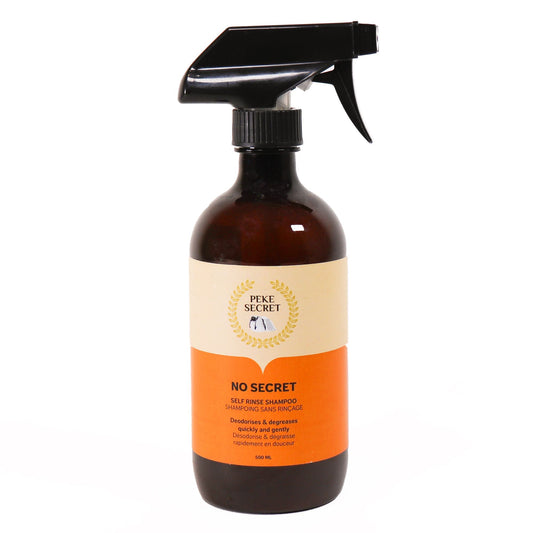 Shampooing sec No secret, 250ml