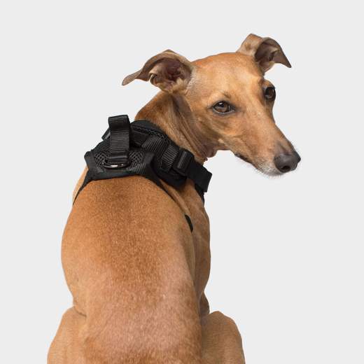 Harnais Everything Harness, Noir