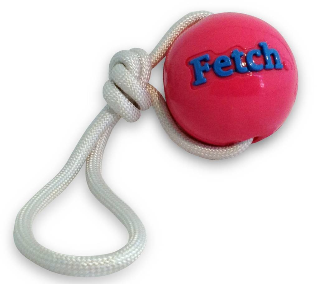 Orbee Balle Fetch/Corde, Rose