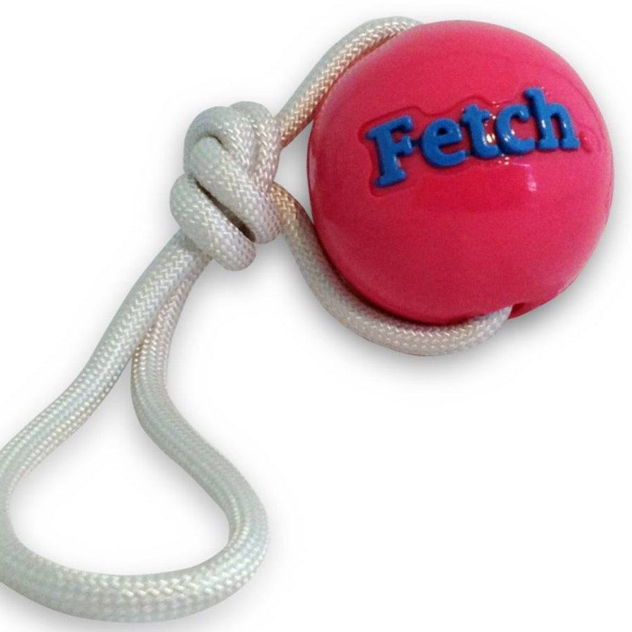 Orbee Balle Fetch/Corde, Rose