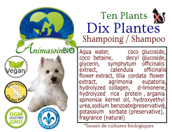 Shampoing Dix plantes