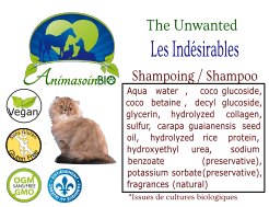Shampoing Les Indésirables pour chat